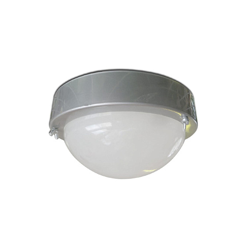 Светильник НББ 03-60-003 "Терма 3" IP65 корпус серебро 1005500583