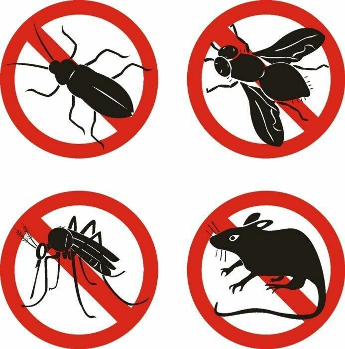 Средства защиты от насекомых и грызунов 